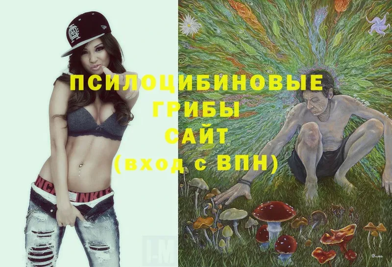 Галлюциногенные грибы Magic Shrooms  МЕГА ссылки  Жигулёвск 